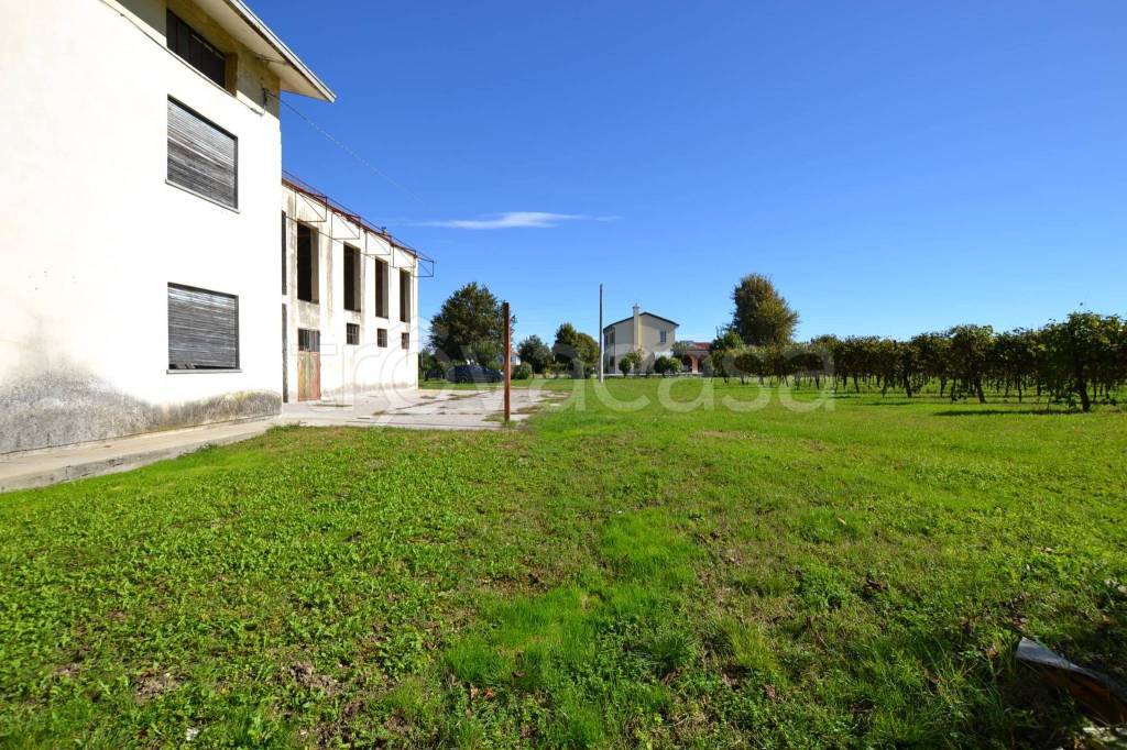 immagine annuncio 3 di 13