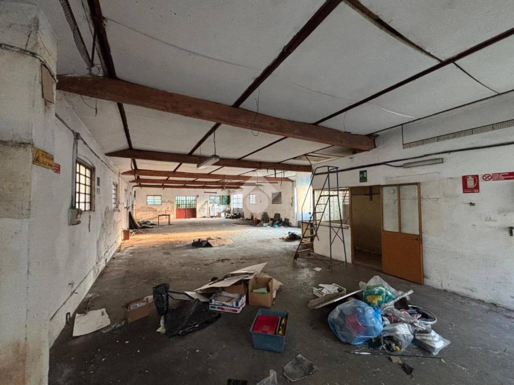 immagine annuncio 4 di 13