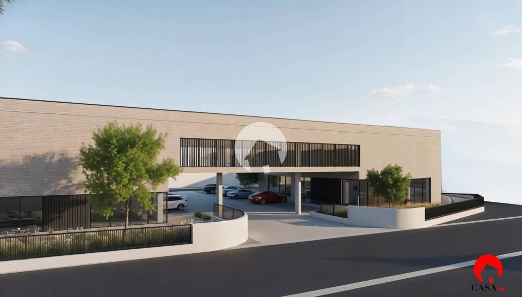 immagine annuncio 4 di 8