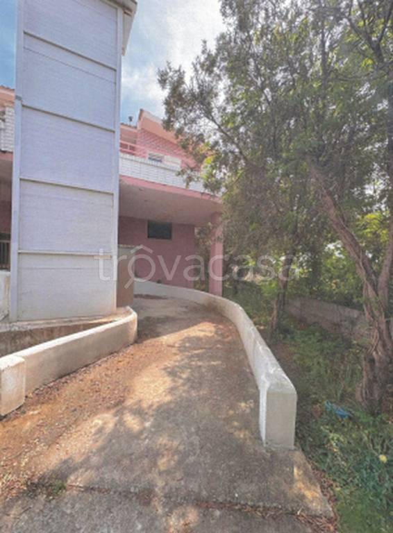 immagine annuncio 10 di 11