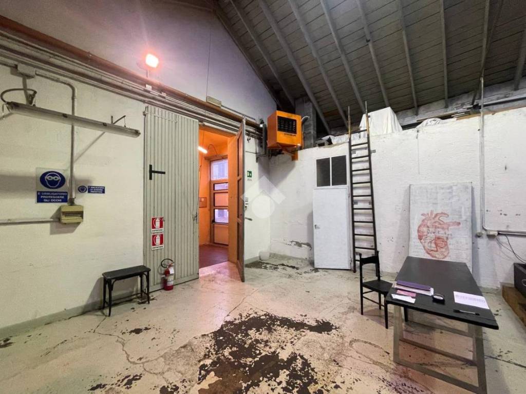 immagine annuncio 6 di 11