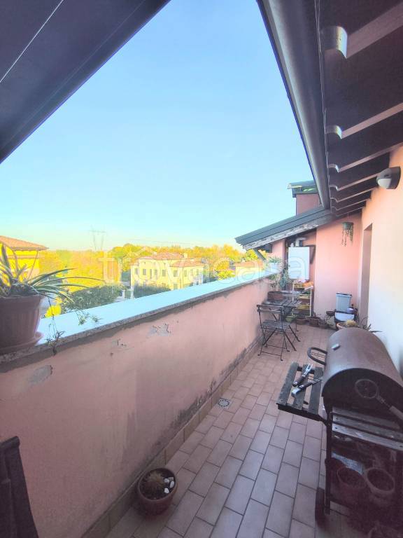 immagine annuncio 5 di 14