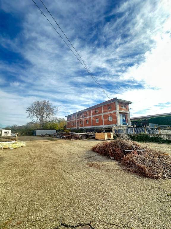 immagine annuncio 1 di 8