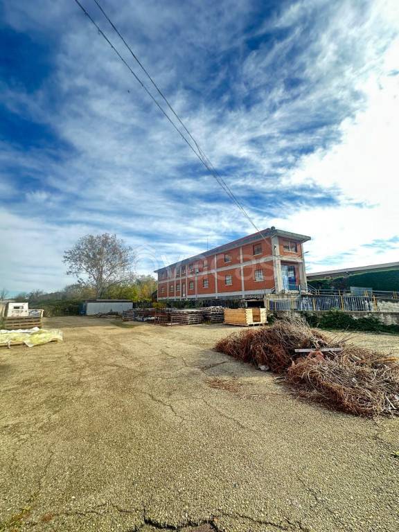 immagine annuncio 2 di 8