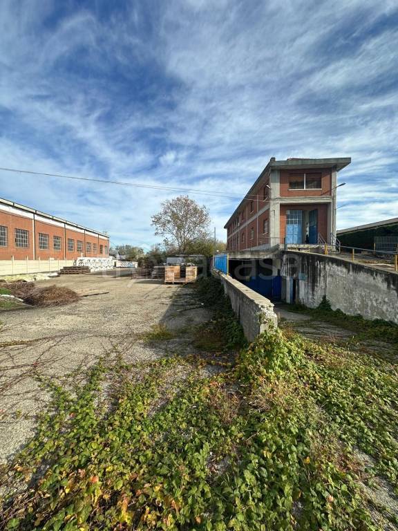 immagine annuncio 4 di 8