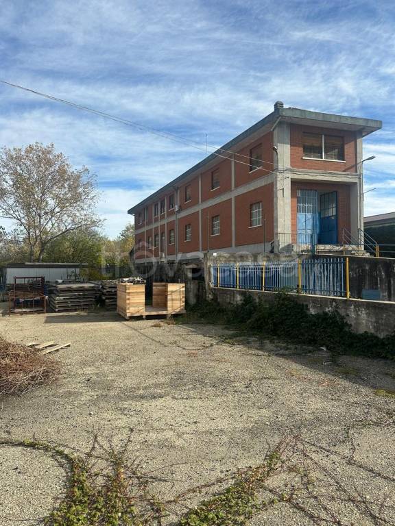 immagine annuncio 5 di 8