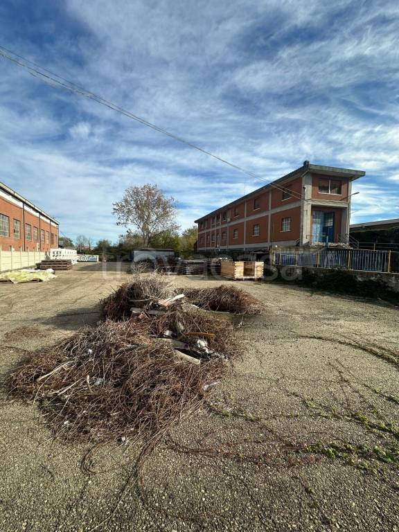 immagine annuncio 7 di 8