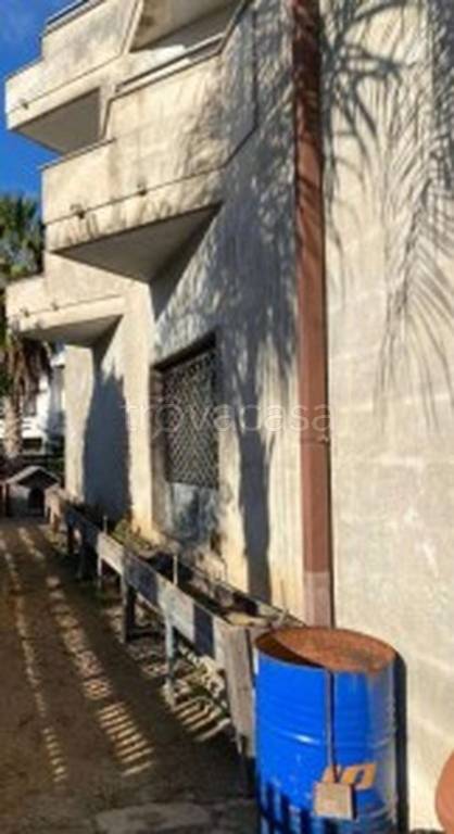 immagine annuncio 4 di 11