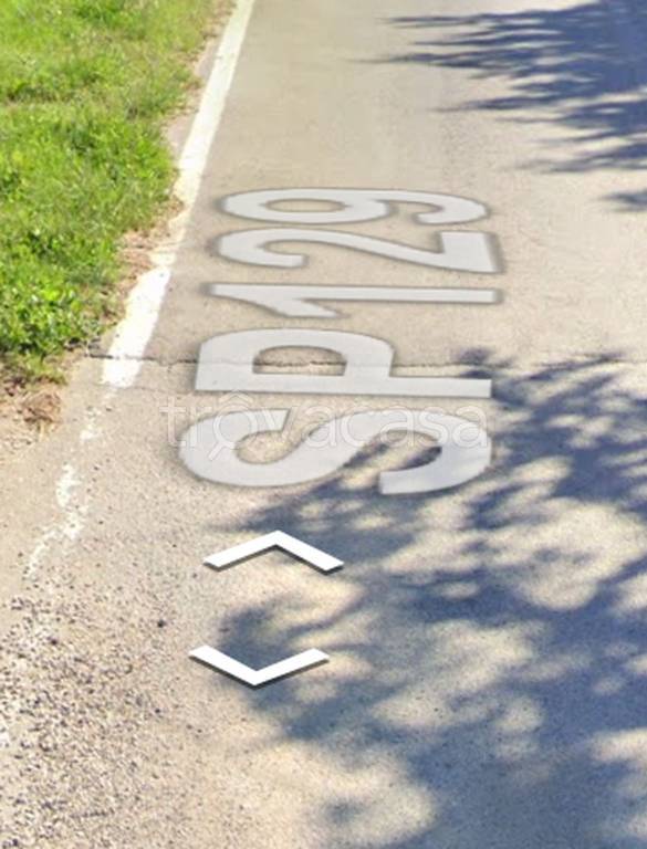 immagine annuncio 4 di 11