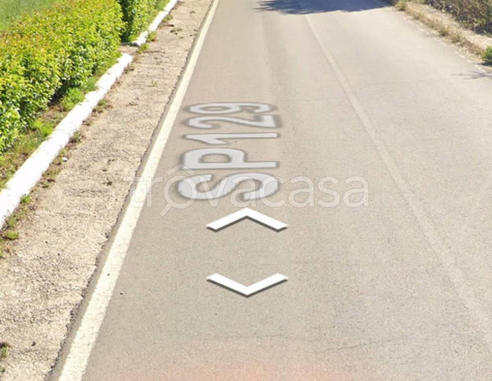 immagine annuncio 10 di 11