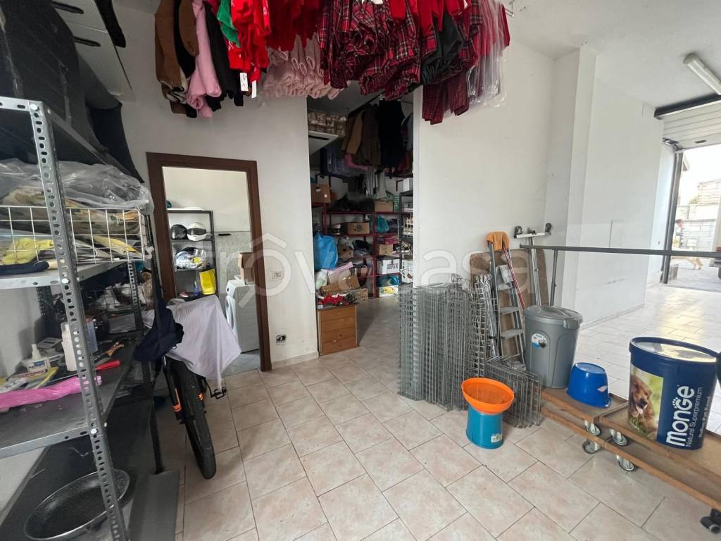 immagine annuncio 7 di 15