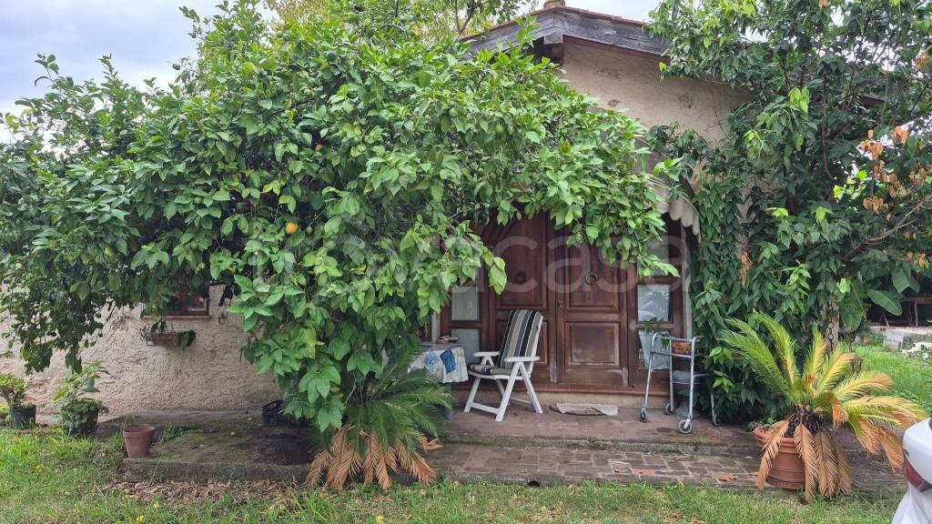 immagine annuncio 3 di 7