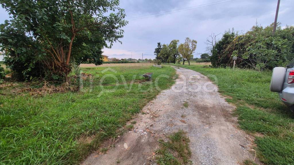 immagine annuncio 4 di 7