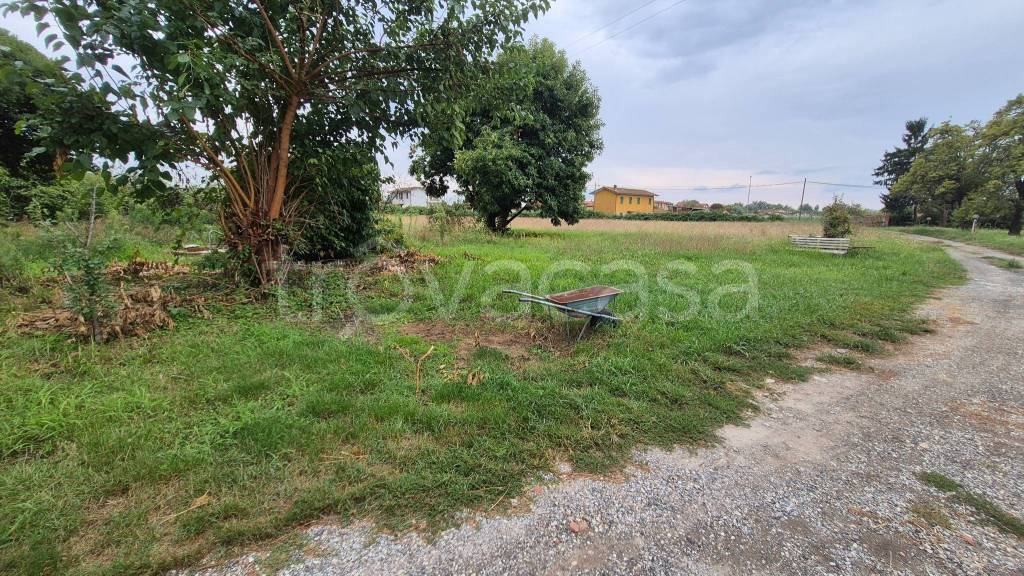 immagine annuncio 5 di 7