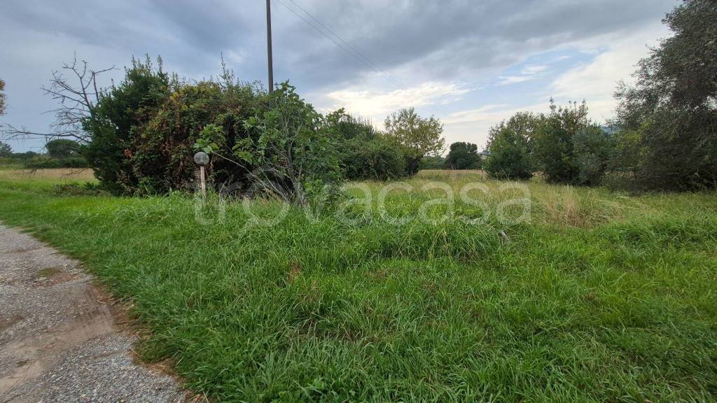 immagine annuncio 6 di 7