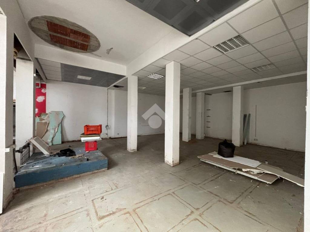 immagine annuncio 8 di 11