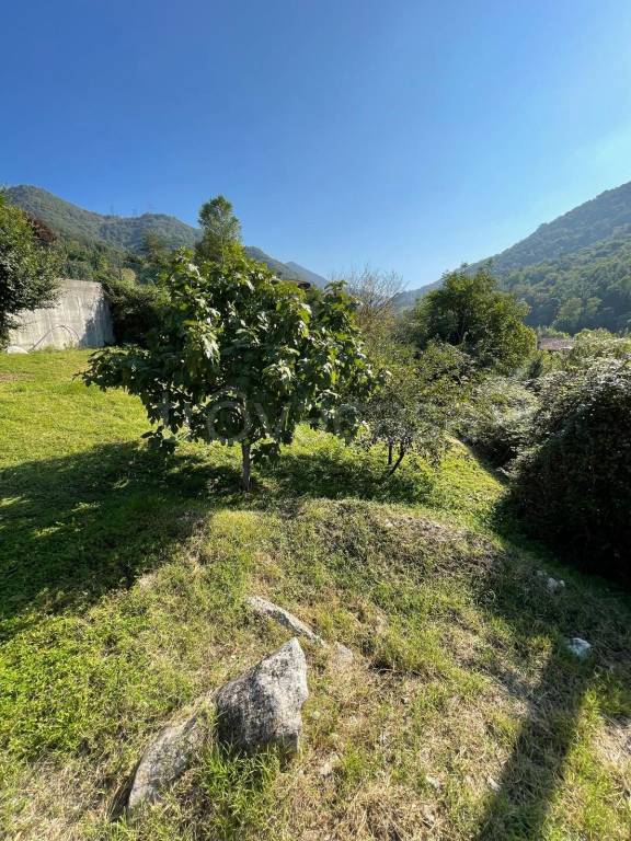 immagine annuncio 4 di 14