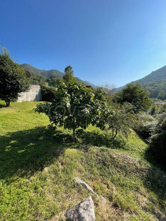 immagine annuncio 7 di 14