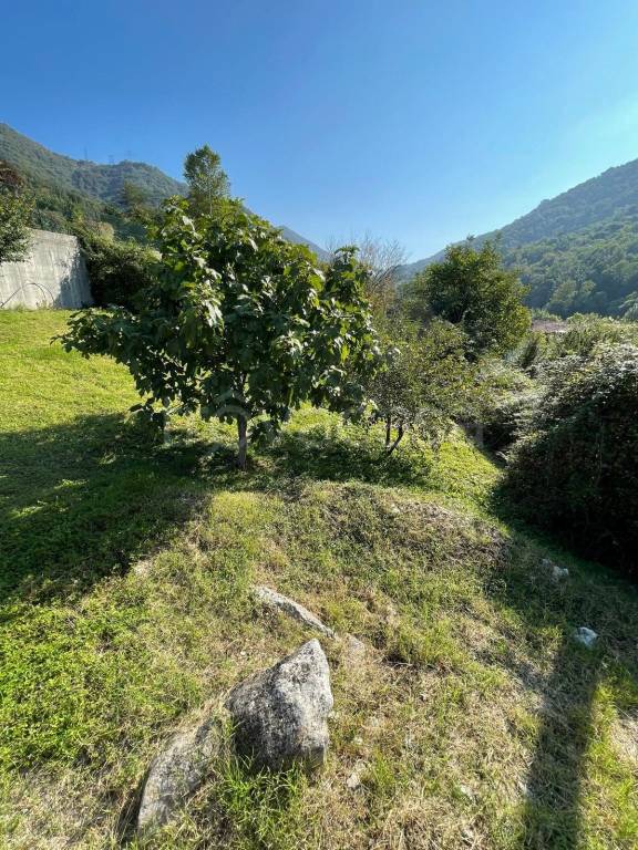 immagine annuncio 8 di 14