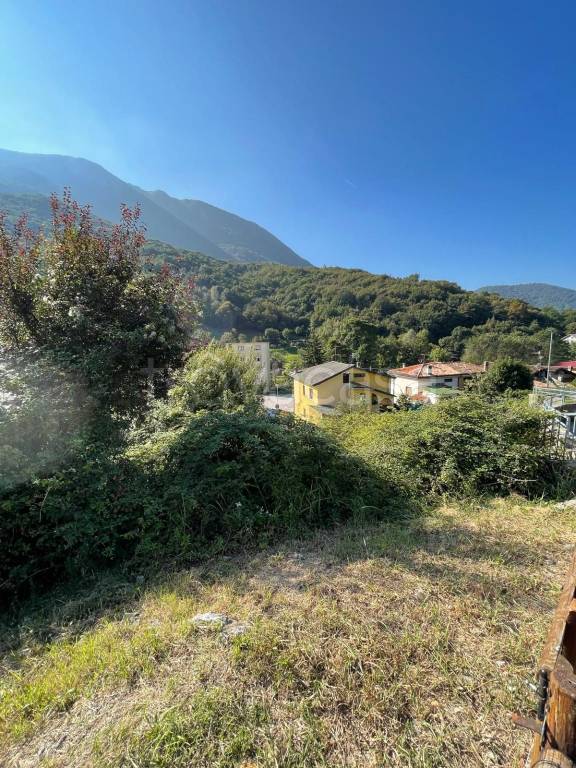 immagine annuncio 11 di 14