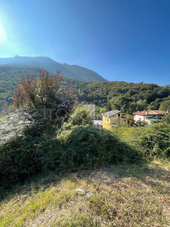 immagine annuncio 13 di 14