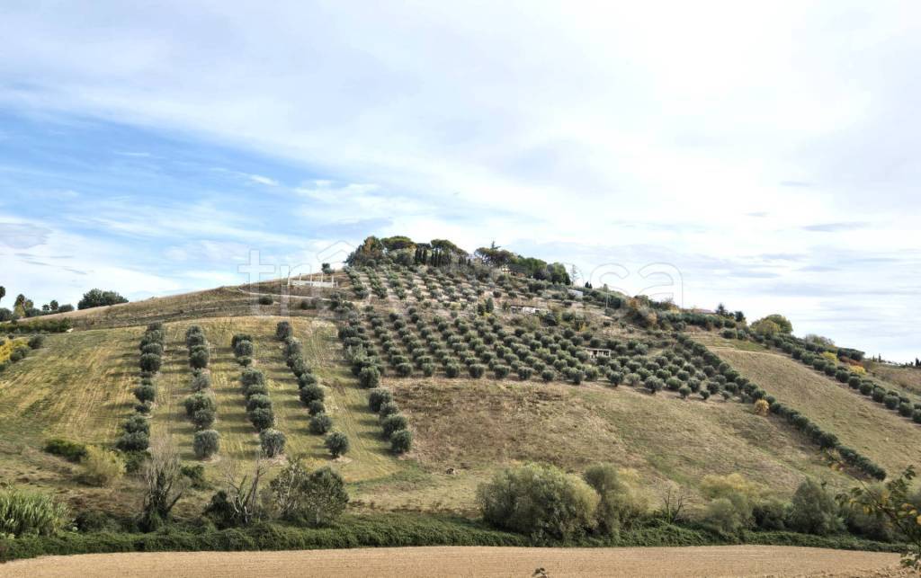 immagine annuncio 3 di 11