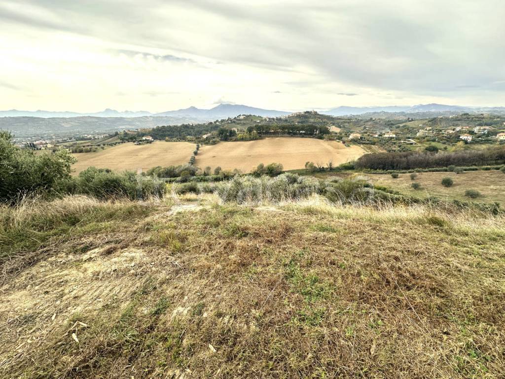 immagine annuncio 5 di 11