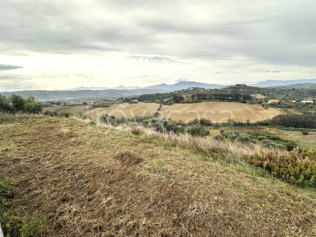 immagine annuncio 6 di 11