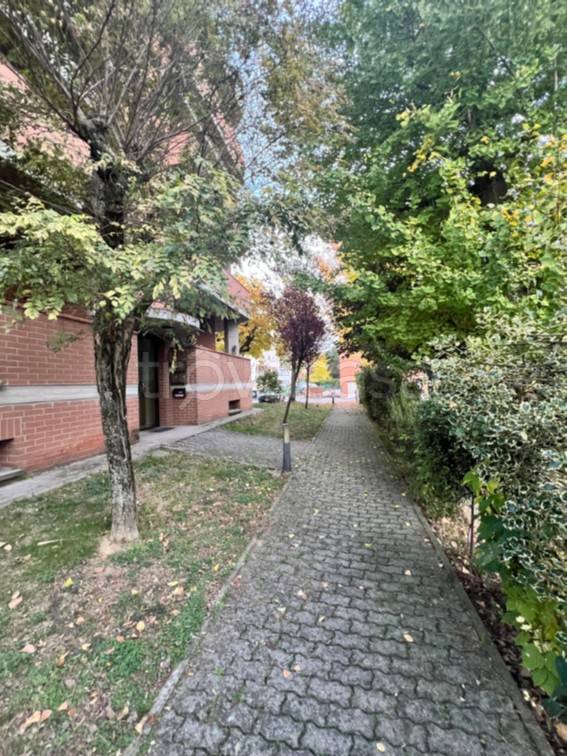 immagine annuncio 3 di 14