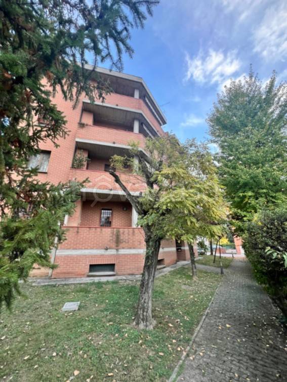 immagine annuncio 4 di 14