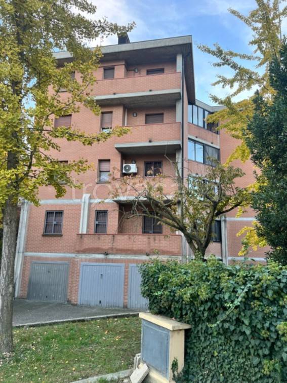 immagine annuncio 9 di 14