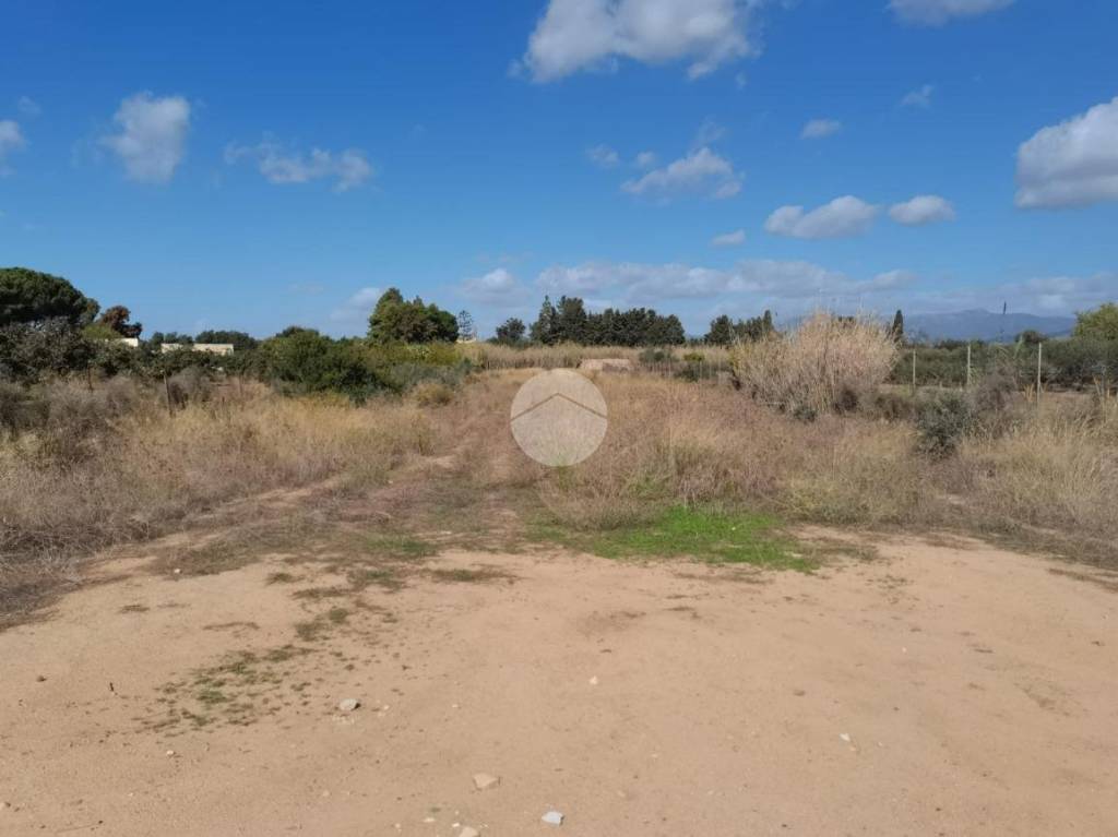 immagine annuncio 2 di 8