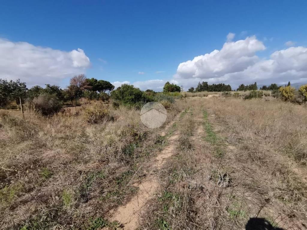 immagine annuncio 3 di 8