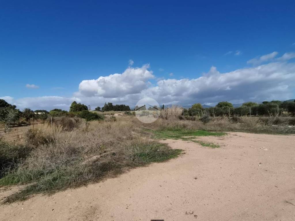 immagine annuncio 4 di 8