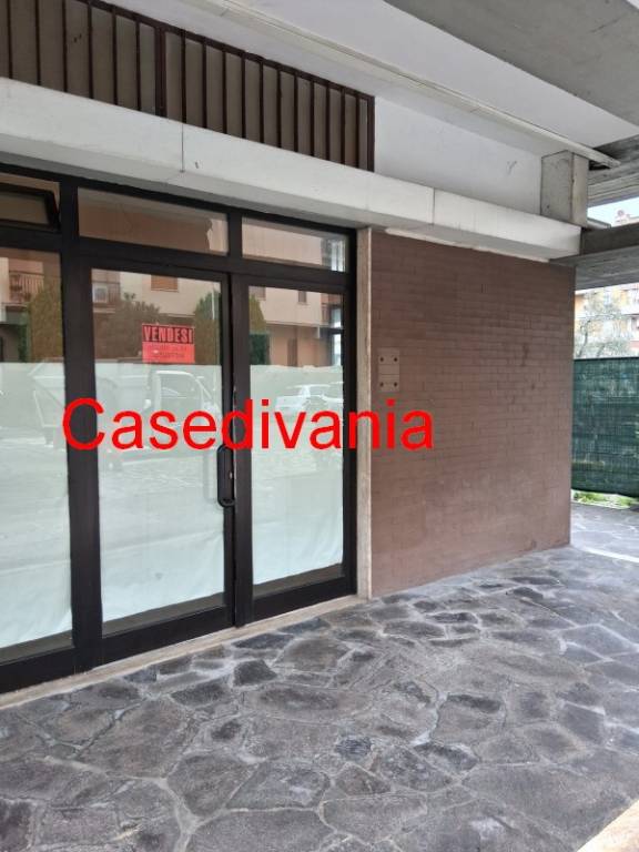 immagine annuncio 1 di 6