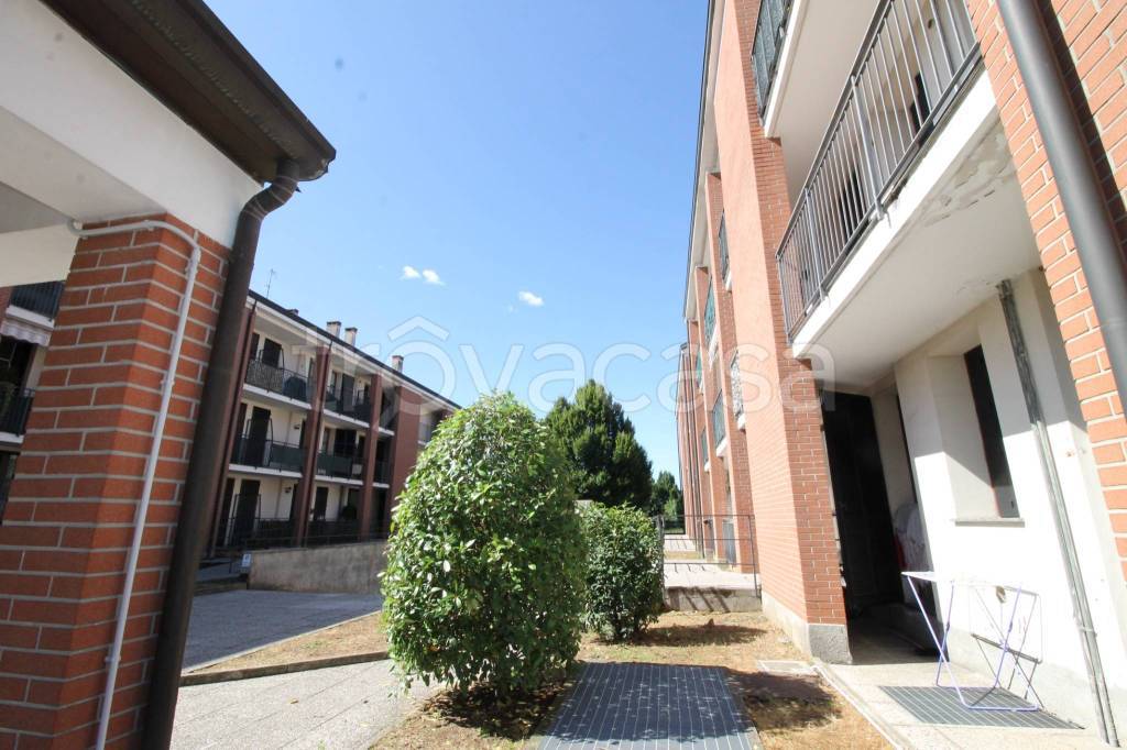 immagine annuncio 5 di 15