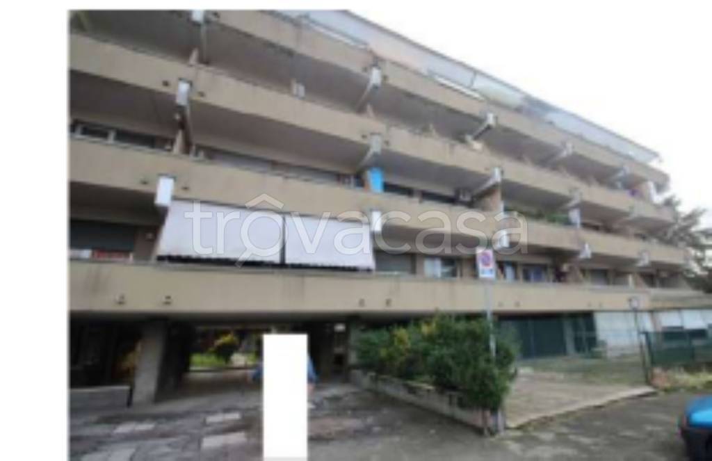 immagine annuncio 6 di 13