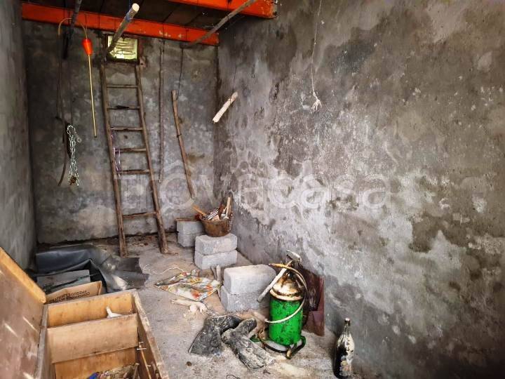 immagine annuncio 7 di 8