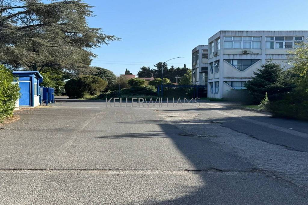 immagine annuncio 2 di 13