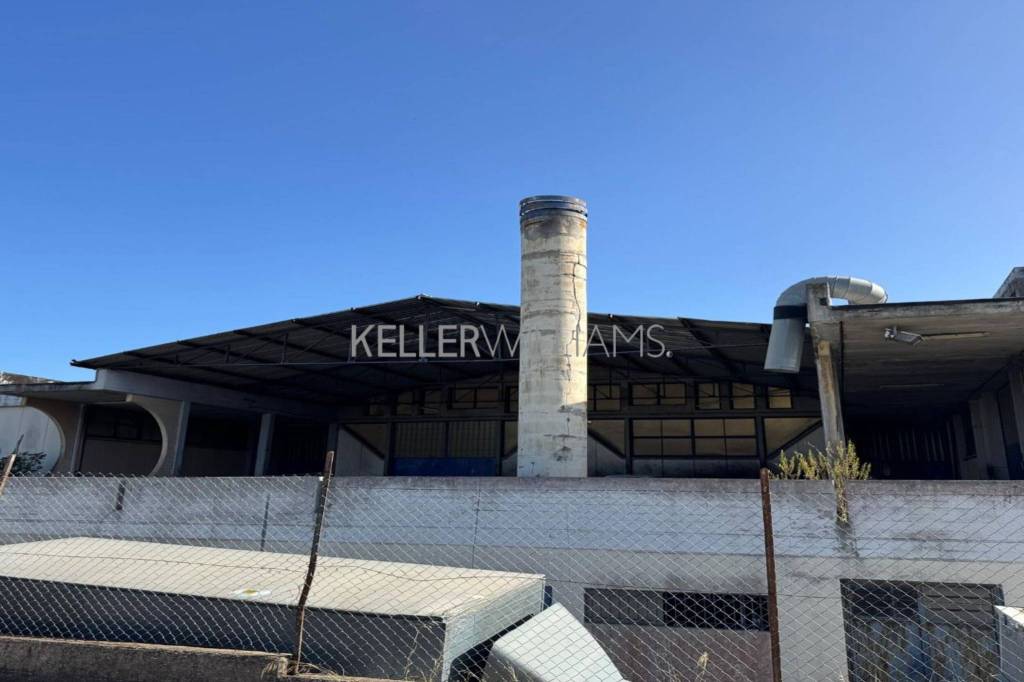 immagine annuncio 10 di 13