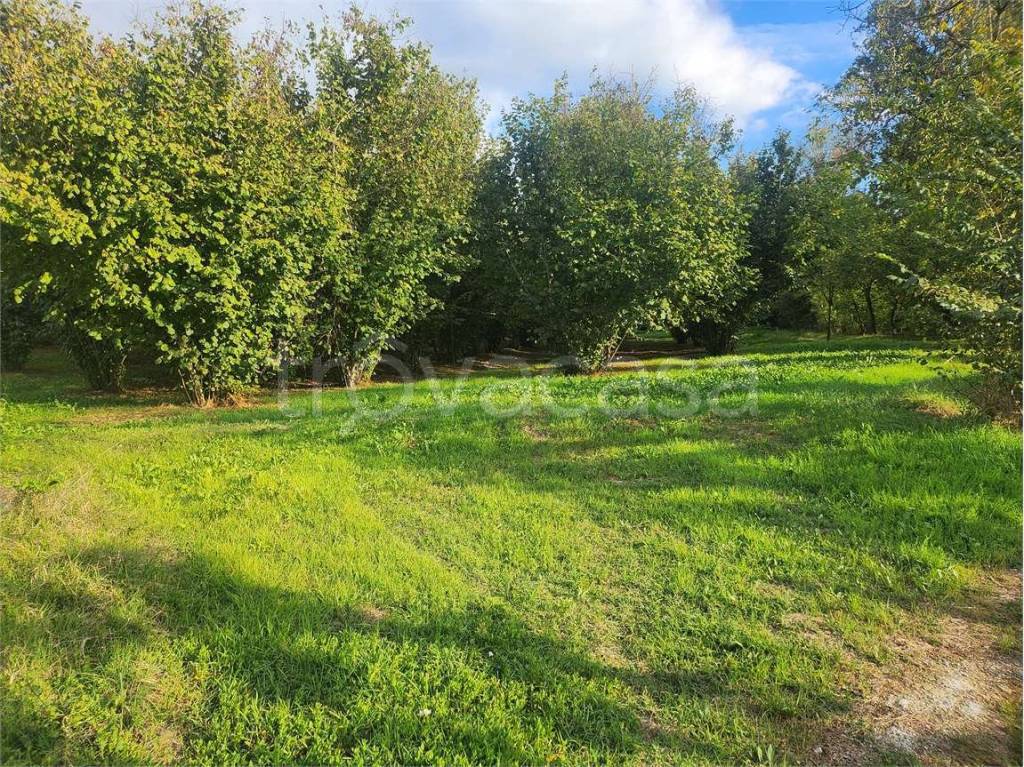 immagine annuncio 6 di 12