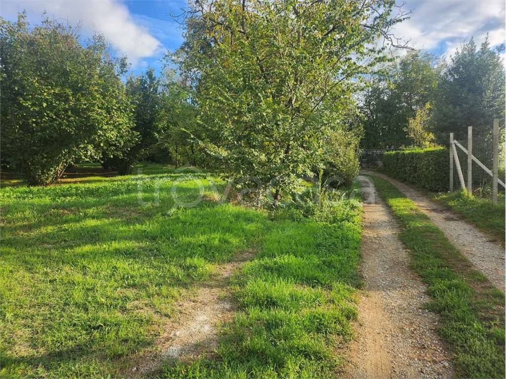 immagine annuncio 8 di 12