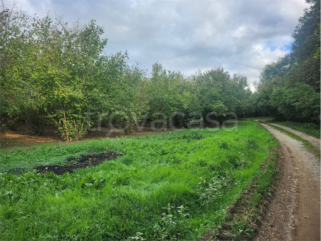 immagine annuncio 10 di 12