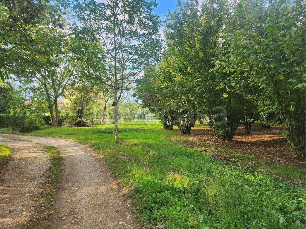 immagine annuncio 11 di 12