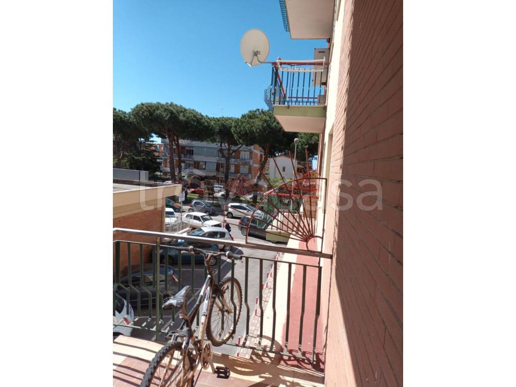 immagine annuncio 9 di 11