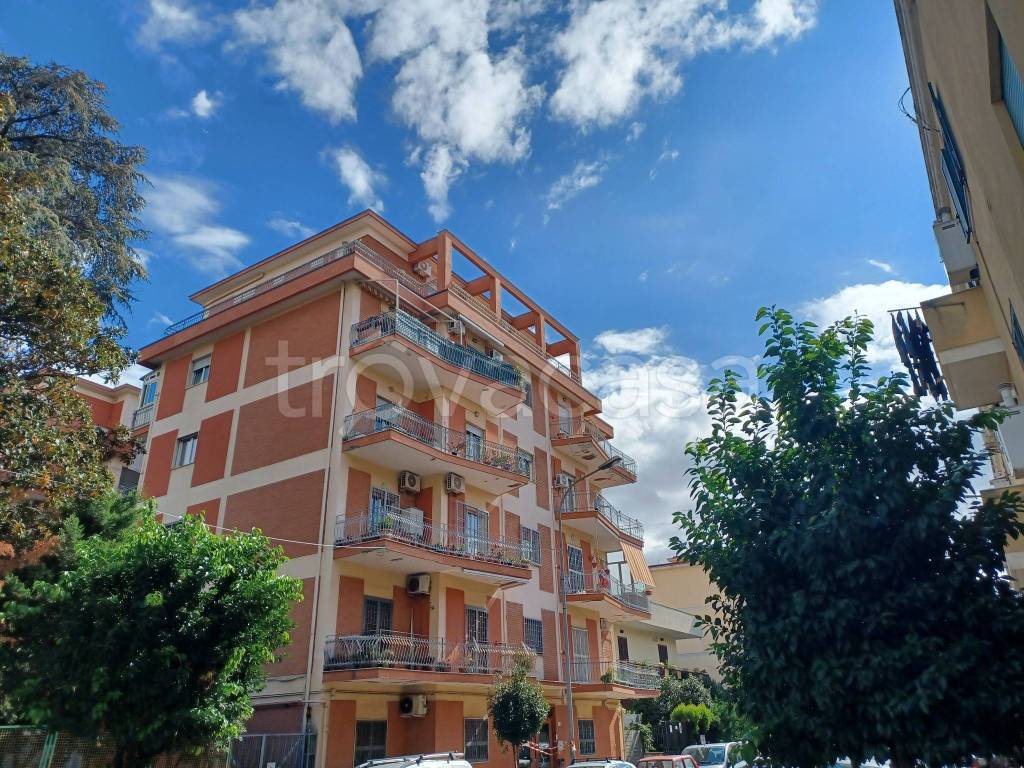 immagine annuncio 6 di 7