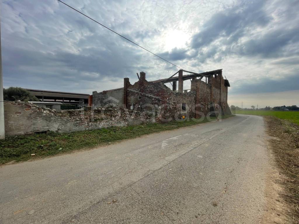 immagine annuncio 2 di 12