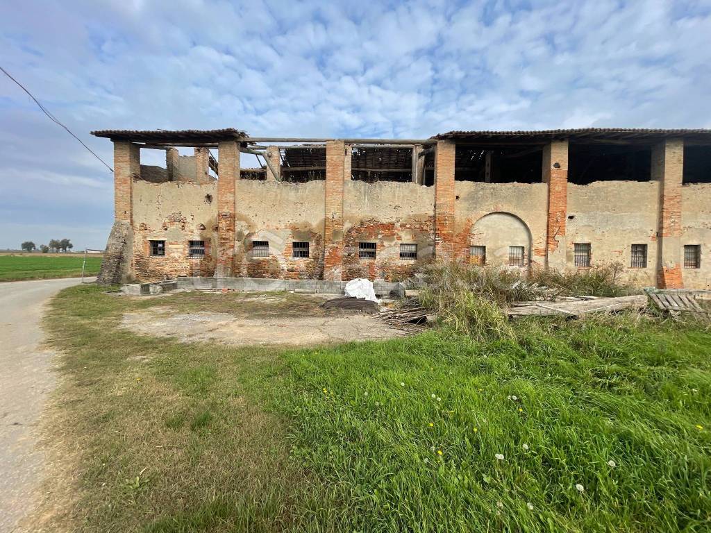 immagine annuncio 6 di 12