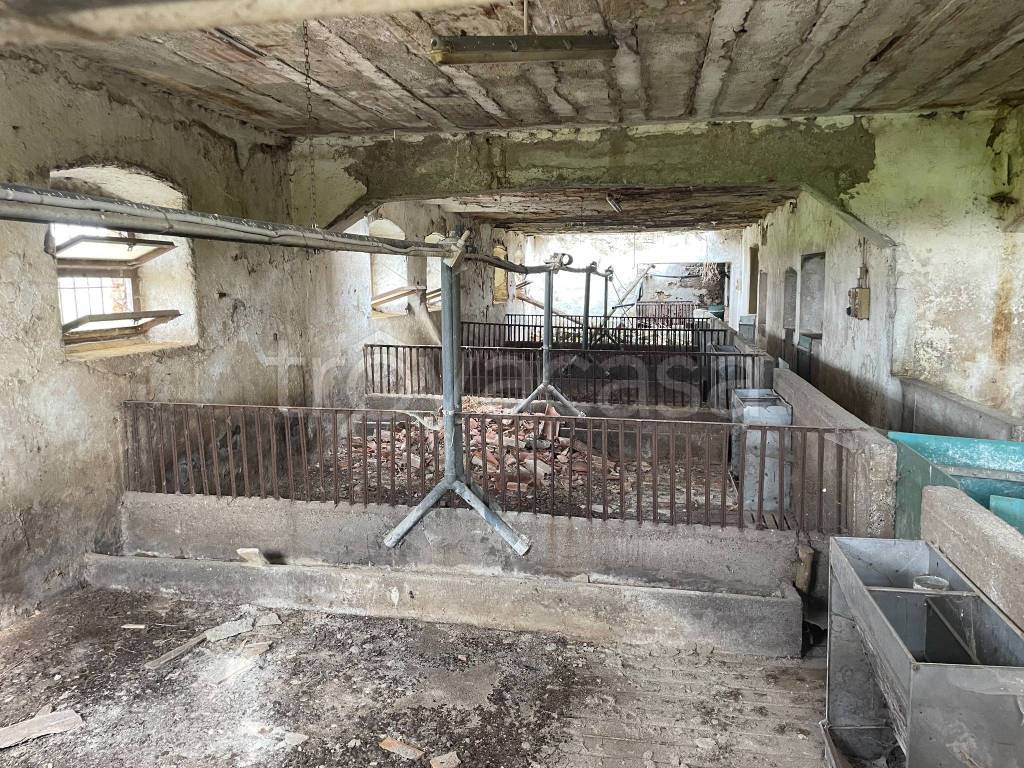 immagine annuncio 7 di 12