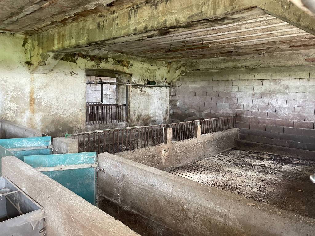 immagine annuncio 8 di 12